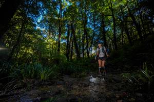 BIB: 
                            <button type="button" onclick="openModal(19240323)" class="btn btn-primary btn-sm float-right btn-popup" data-toggle="modal" data-target=".modal-high-quality">
                        <i class="fas fa-shopping-cart"></i> Add to Cart
                    </button>
                                            <button type="button" onclick="isThisMe(19240323, true)" class="btn btn-success btn-sm float-right btn-popup btn-isme hidden" data-toggle="tooltip" data-placement="bottom" title="นี่คือรูปของคุณใช่ไหม คลิกที่นี่เพื่อเอาเข้าอัลบั้ม">
                        <i class="fas fa-plus"></i> Add to album
                    </button>
                    <button type="button" onclick="isThisMe(19240323, false)" class="btn btn-warning btn-sm float-right btn-popup btn-isnotme hidden">
                        <i class="fas fa-ban"></i> Remove from album
                    </button>